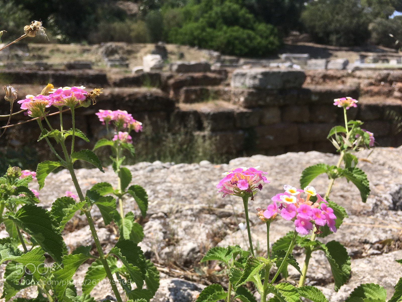 Apple iPhone SE sample photo. Athenian agora photography