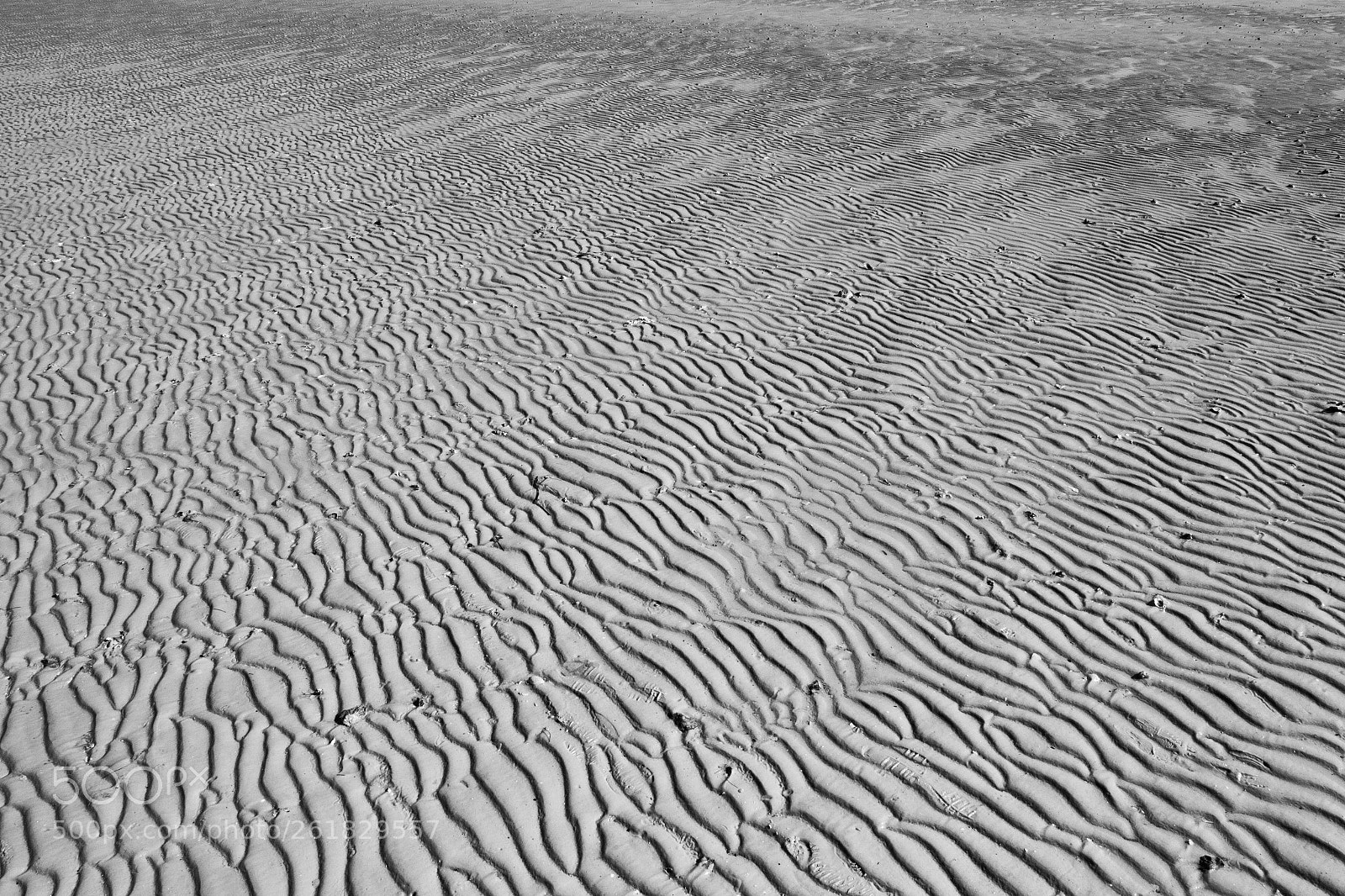 Canon EOS 650D (EOS Rebel T4i / EOS Kiss X6i) sample photo. Beach photography