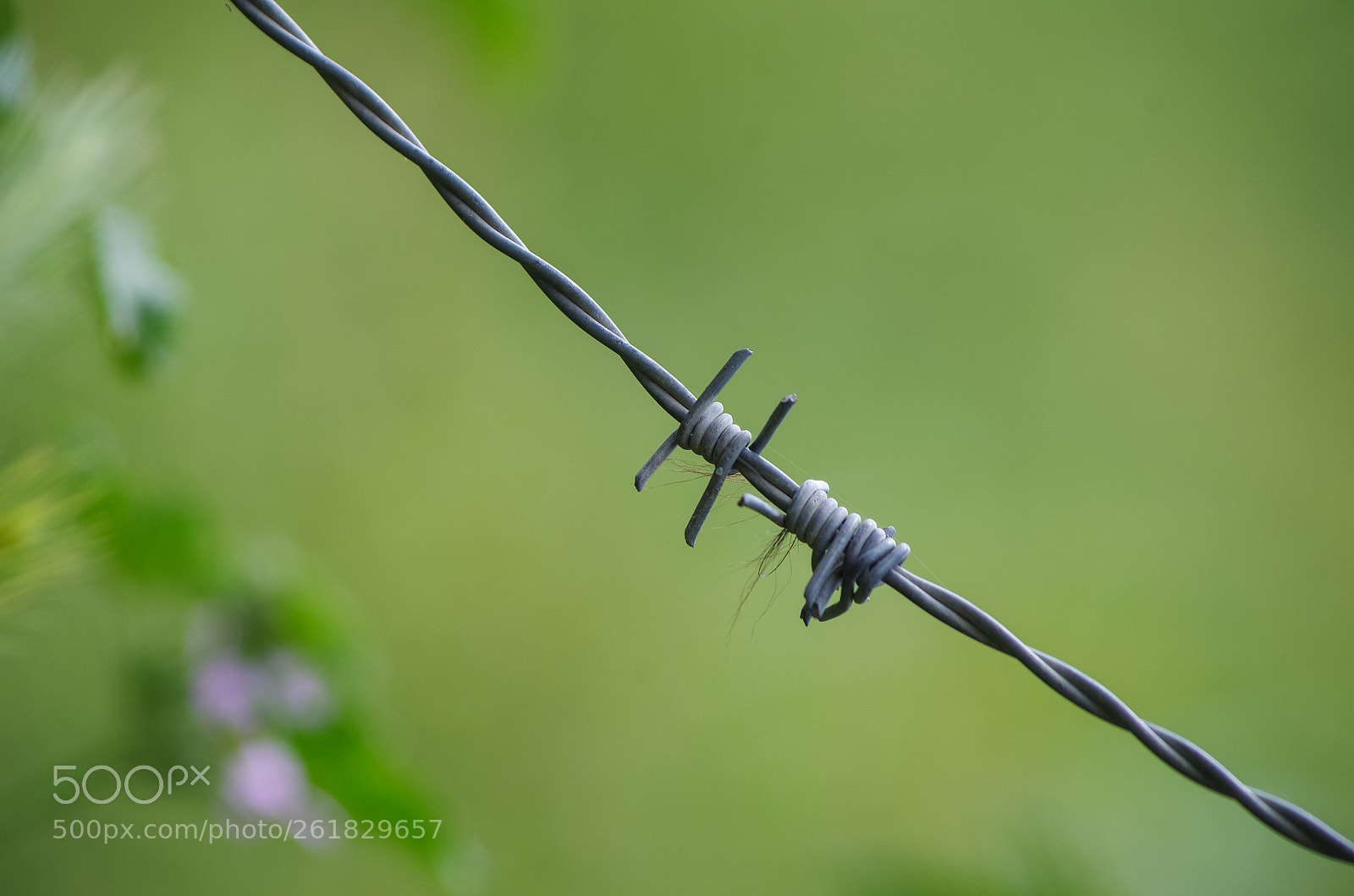 Pentax K-5 II sample photo. Le fil de la photography
