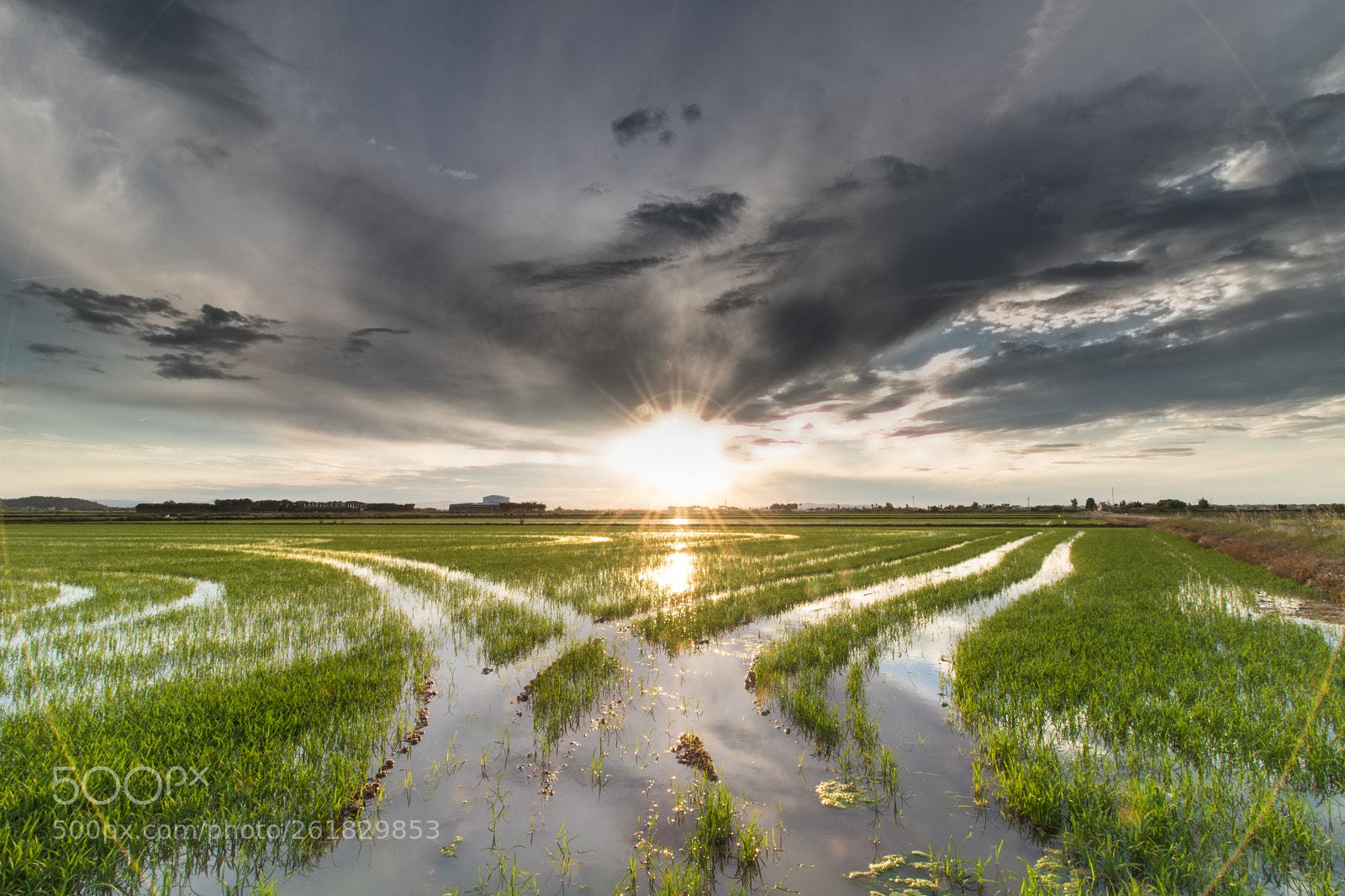 Canon EOS 750D (EOS Rebel T6i / EOS Kiss X8i) sample photo. La albufera photography