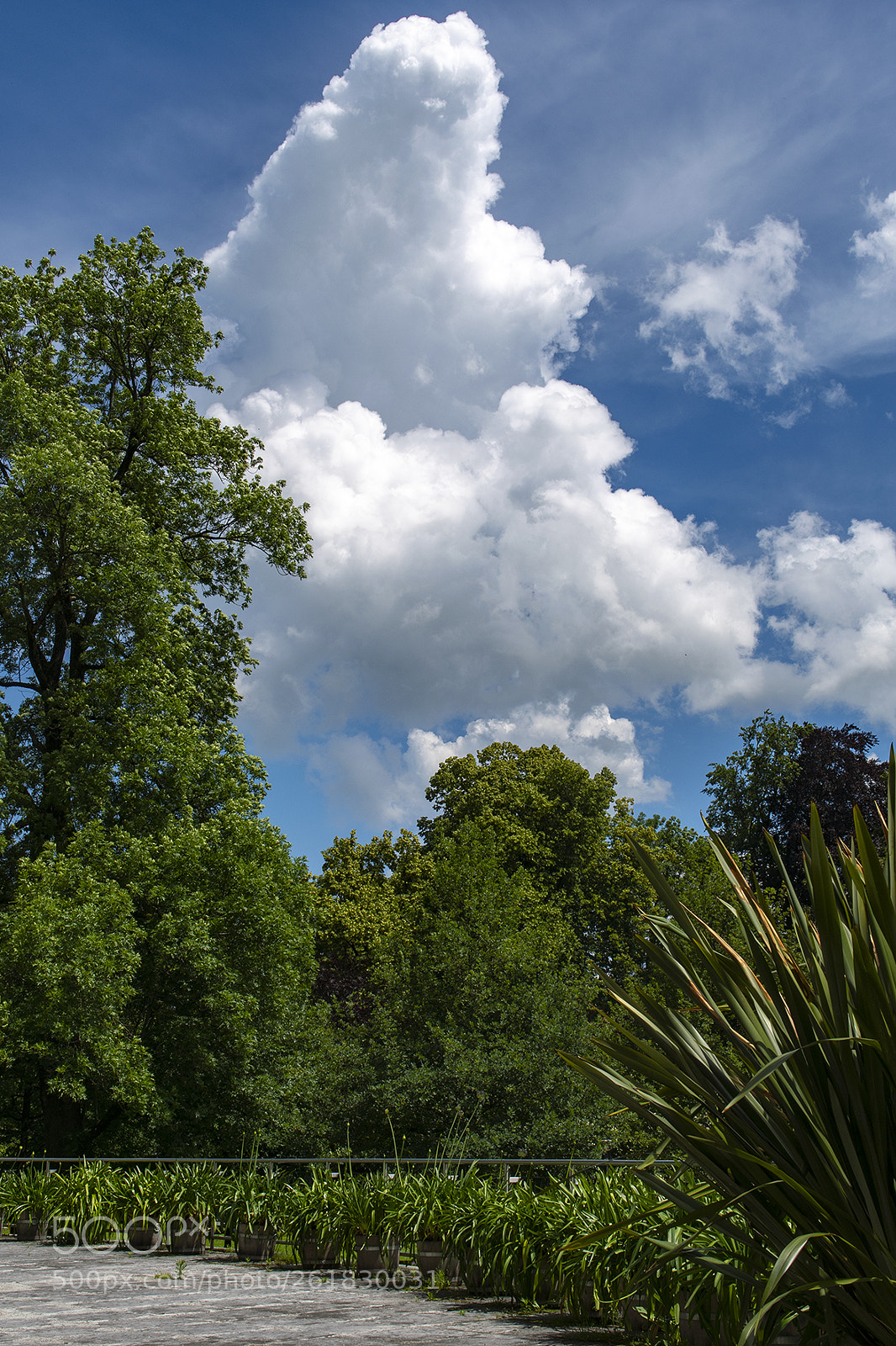 Nikon D7500 sample photo. Cloud photography