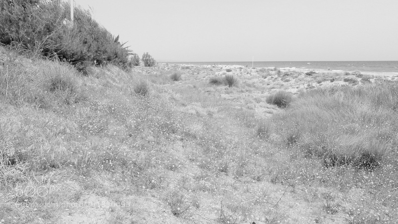 Fujifilm XQ2 sample photo. El muntany zona protegida photography