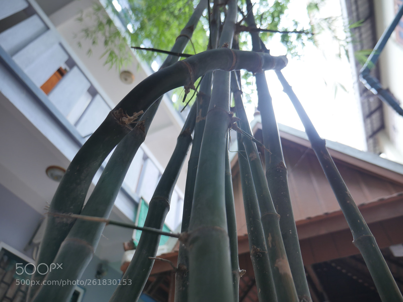 Panasonic Lumix DMC-GH4 sample photo. P photography