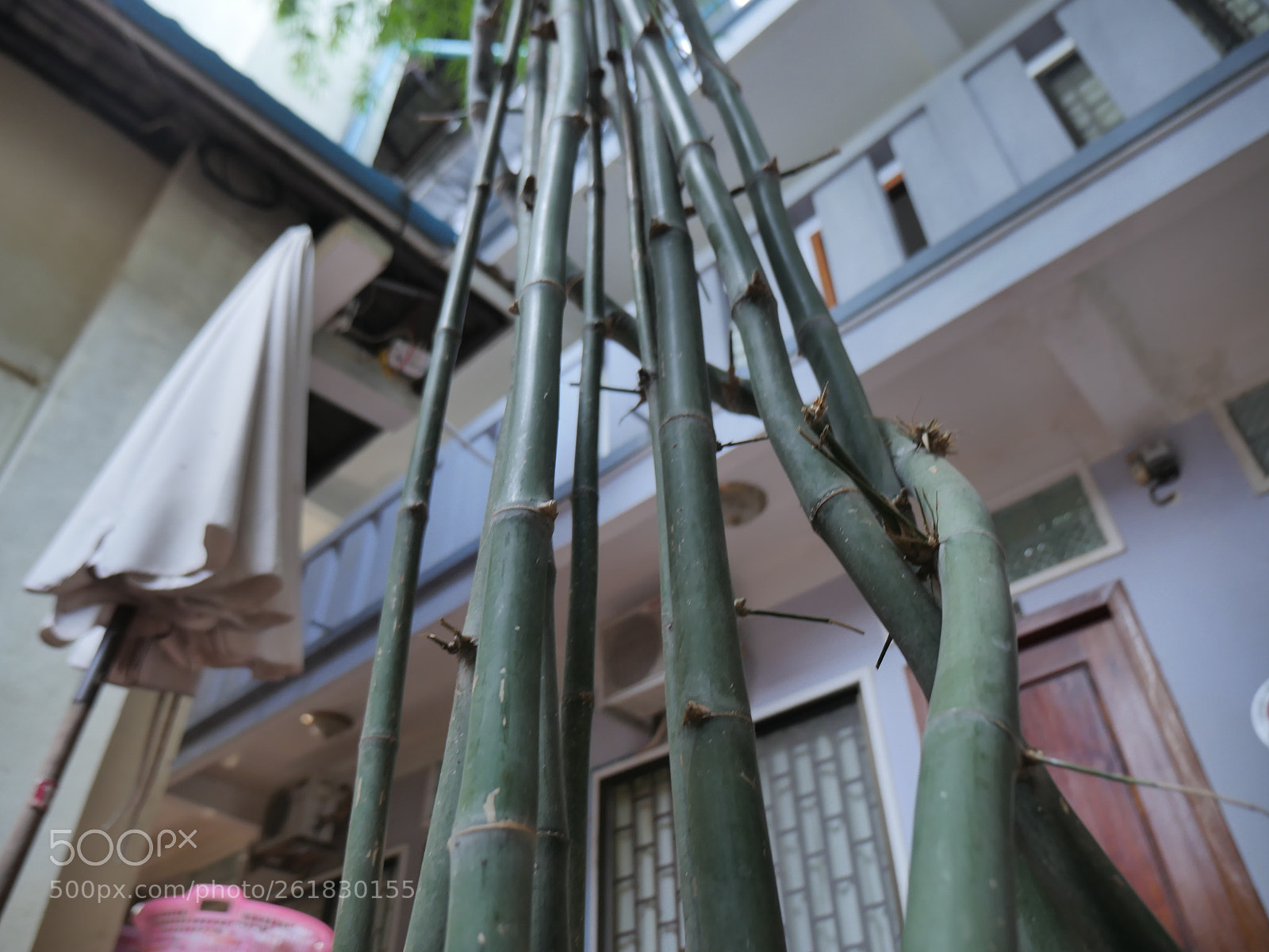 Panasonic Lumix DMC-GH4 sample photo. P photography