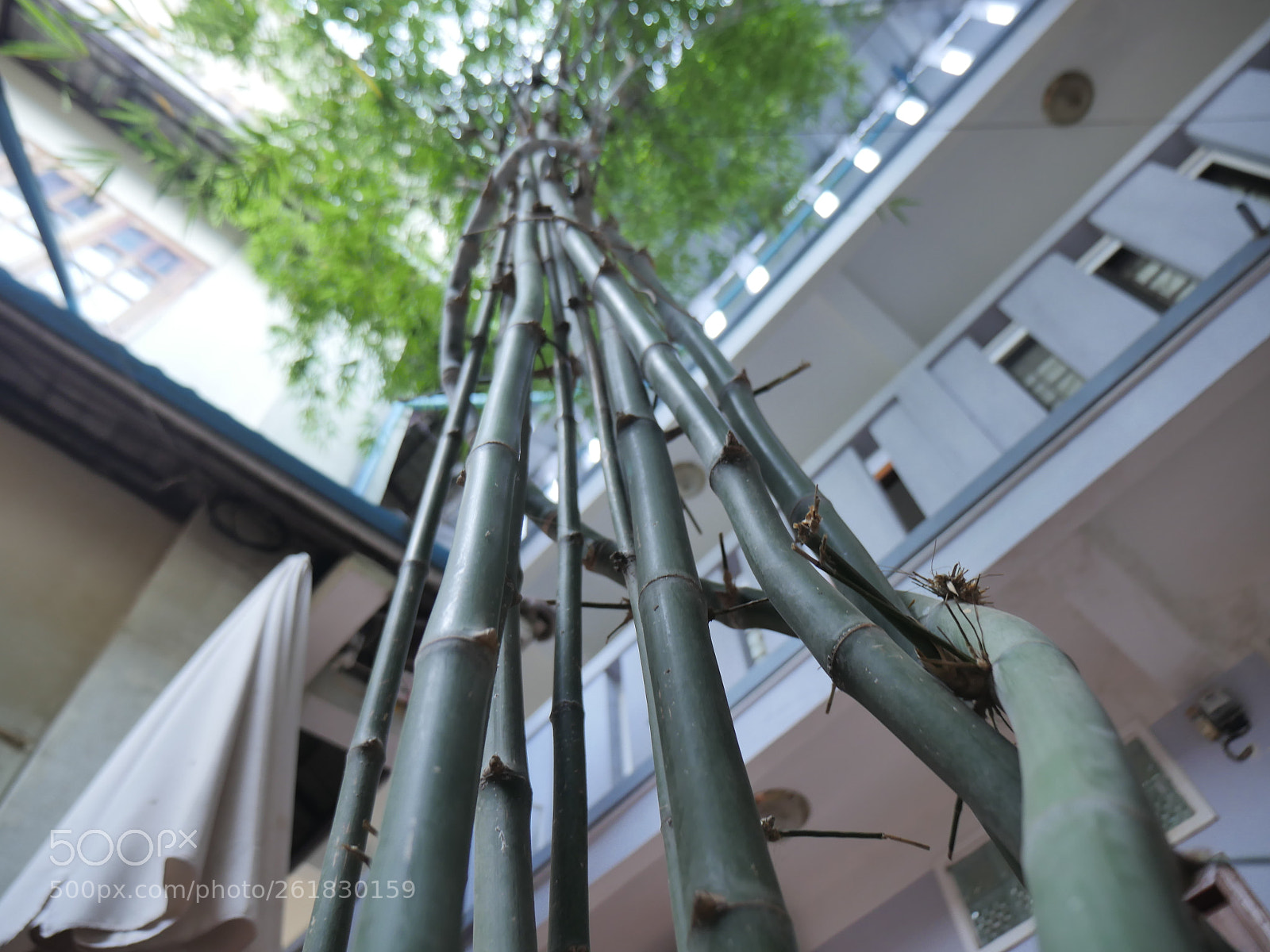 Panasonic Lumix DMC-GH4 sample photo. P photography