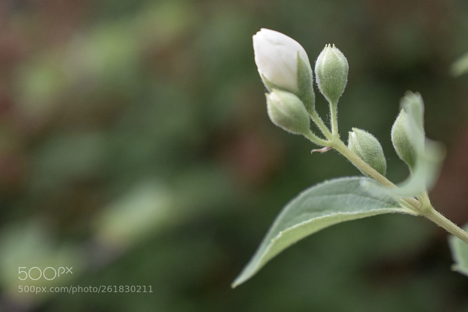 Nikon D3400 sample photo. New beginning photography