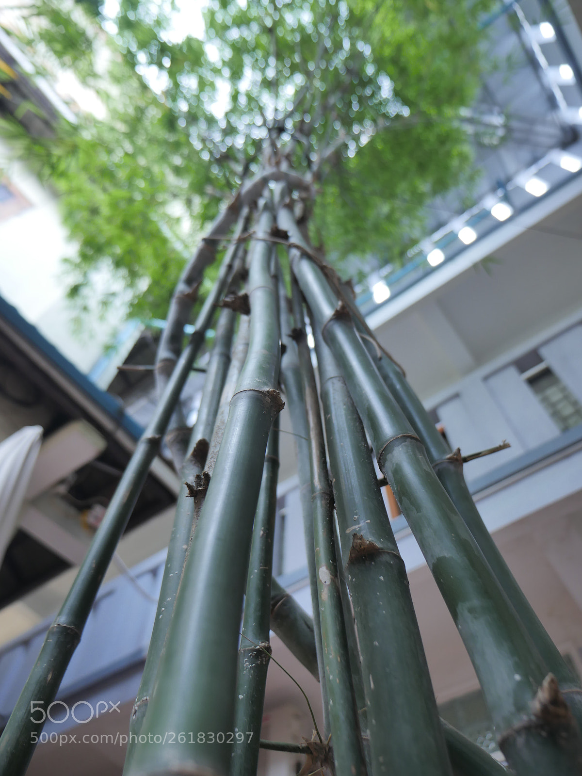 Panasonic Lumix DMC-GH4 sample photo. P photography