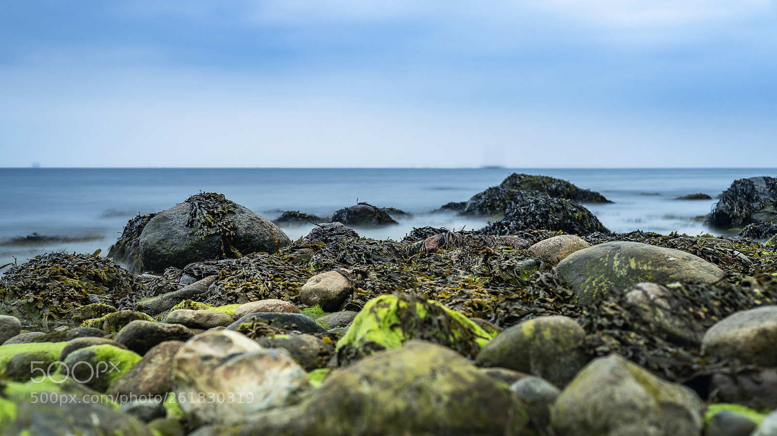 Sony a7R II sample photo. Stony photography