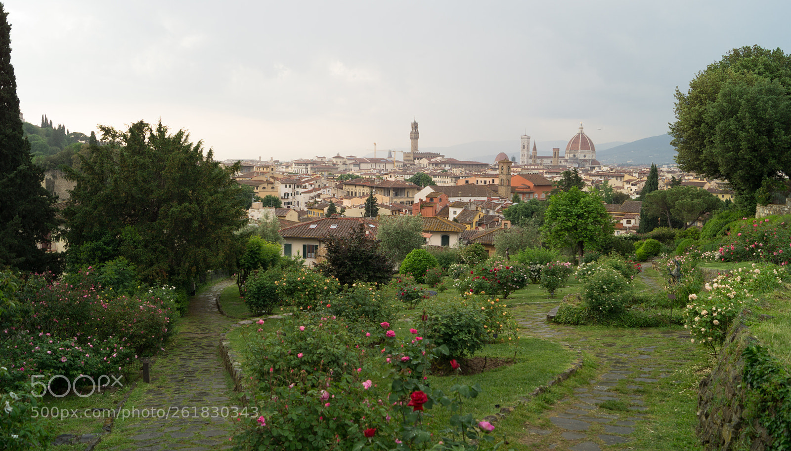 Sony SLT-A58 sample photo. Florence and the roses photography