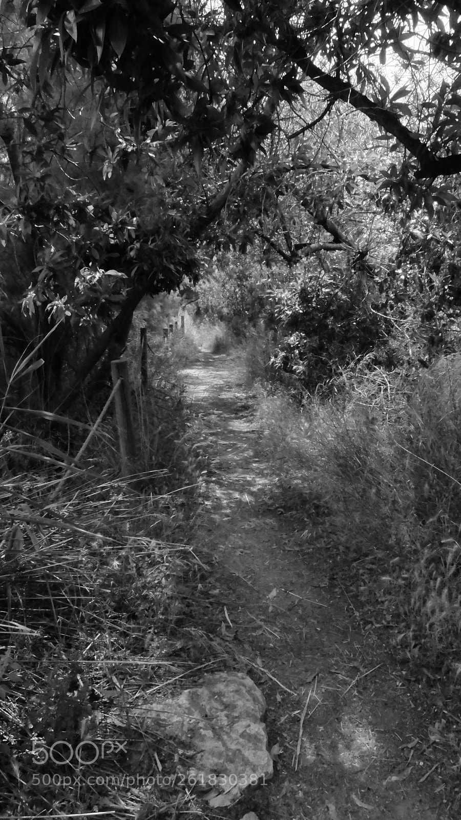 Fujifilm XQ2 sample photo. El muntany zona protegida photography