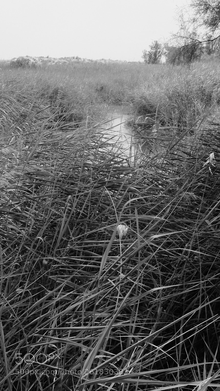 Fujifilm XQ2 sample photo. El muntany zona protegida photography