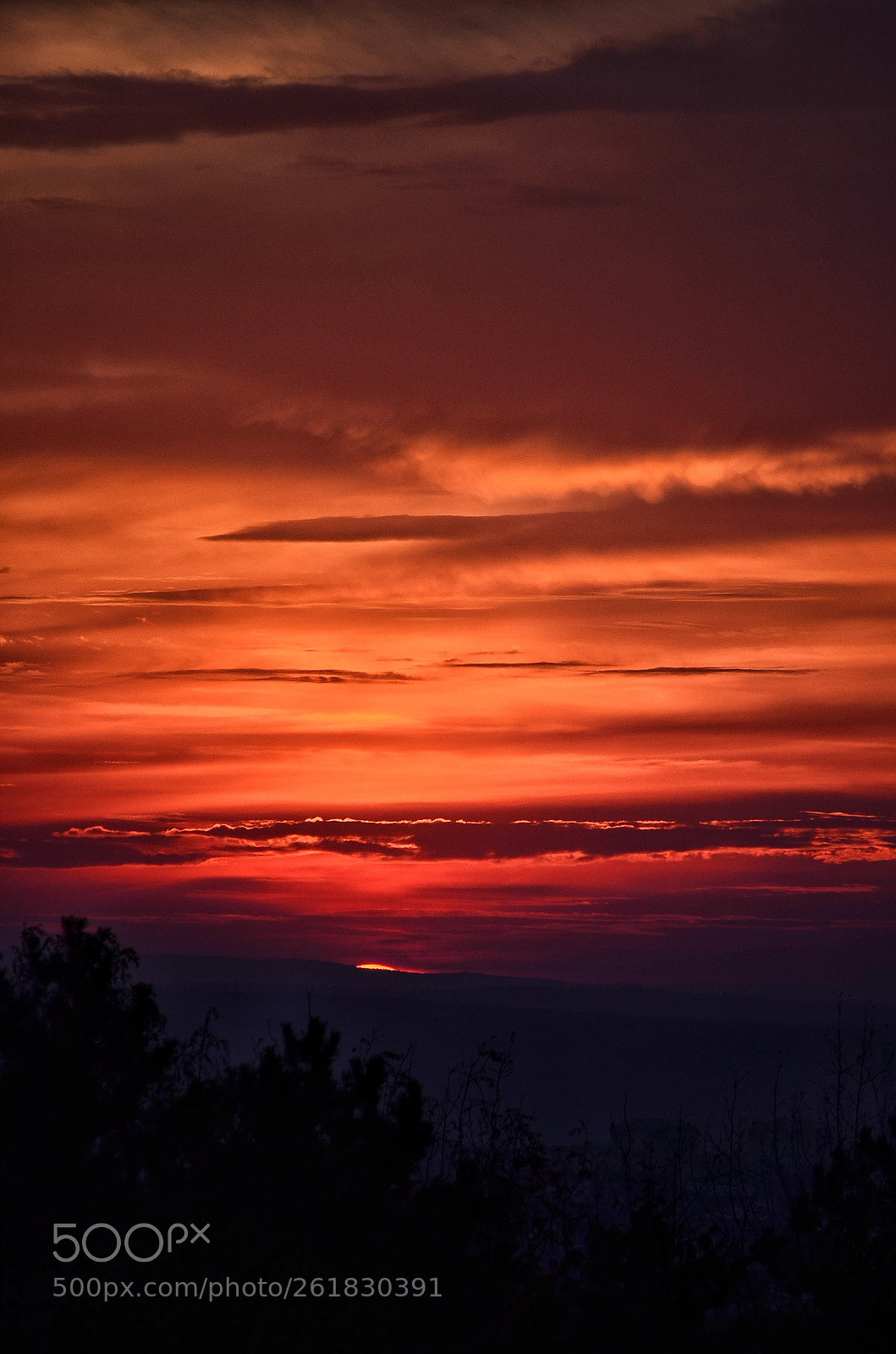 Nikon D5100 sample photo. Burning sky photography
