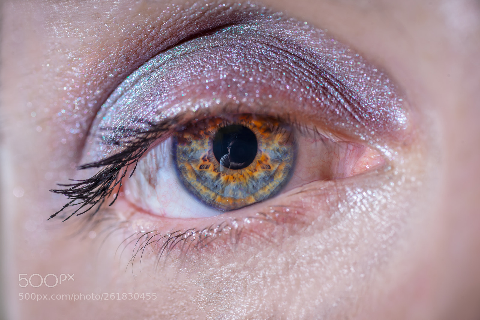 Sony a7 II sample photo. Look at me photography