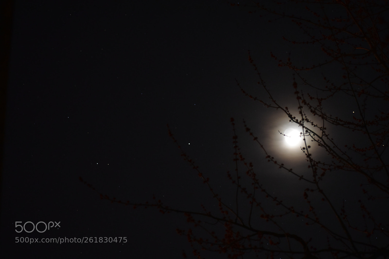 Nikon D3400 sample photo. Haze photography