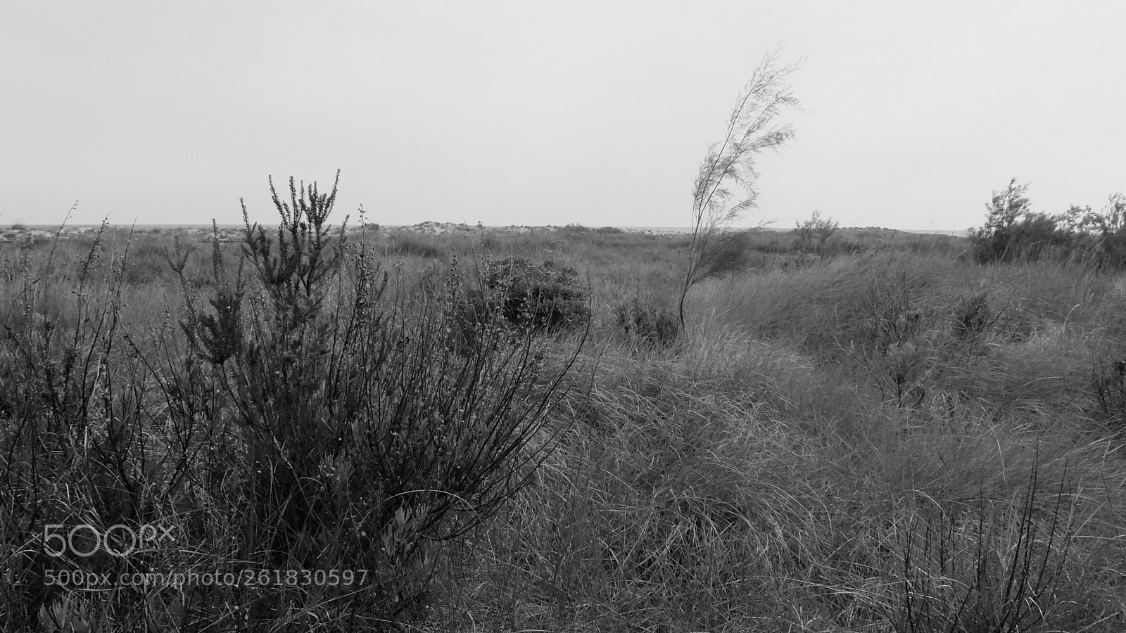 Fujifilm XQ2 sample photo. El muntany zona protegida photography
