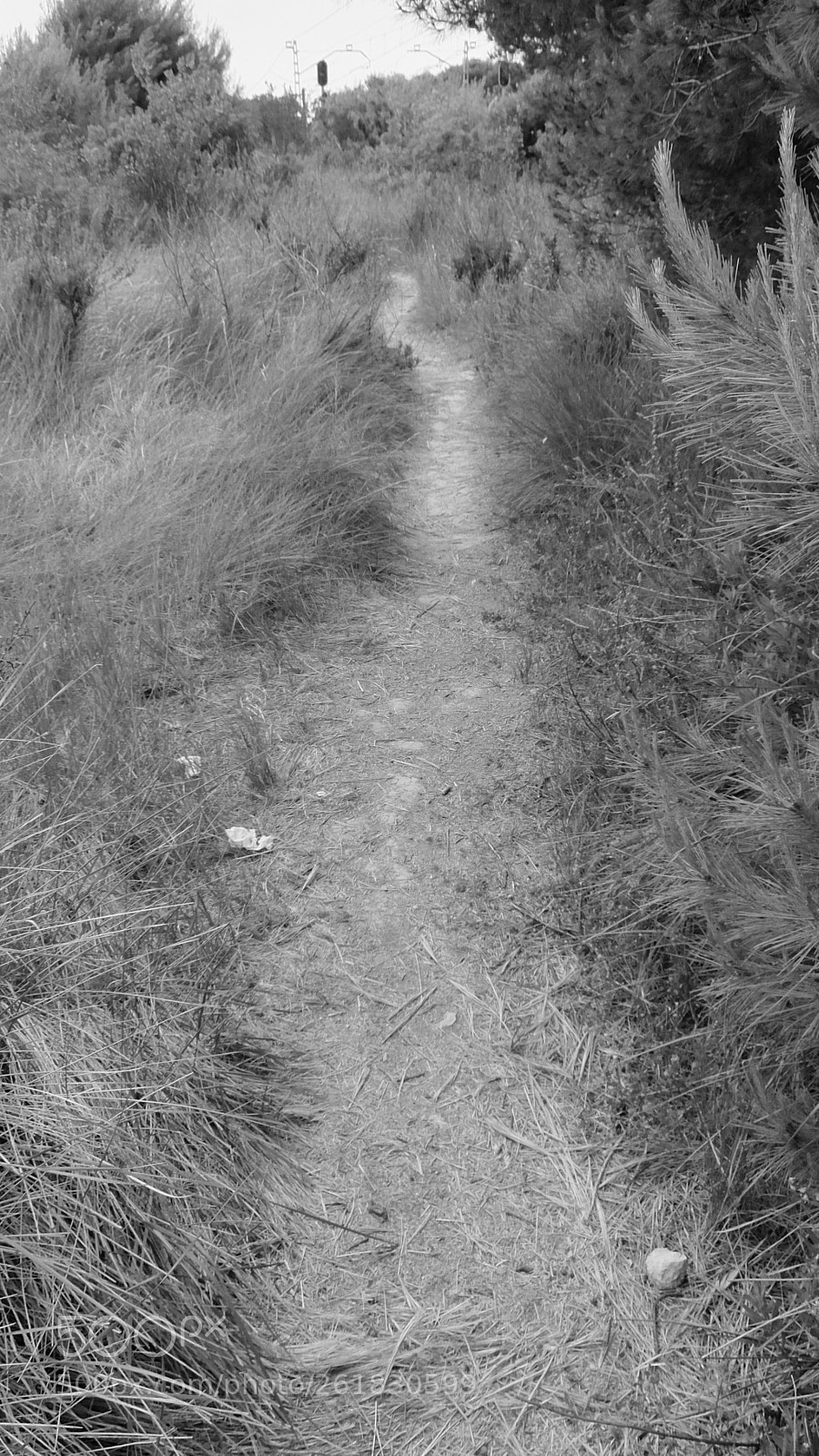 Fujifilm XQ2 sample photo. El muntany zona protegida photography