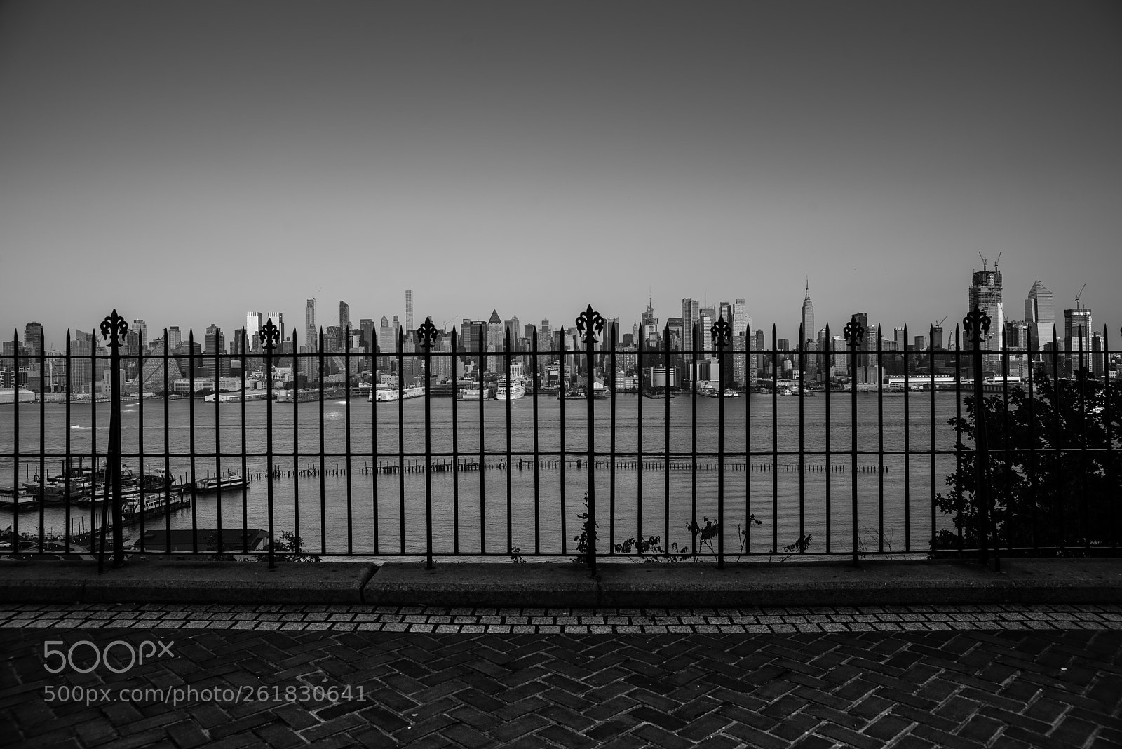 Nikon D810 sample photo. Untitled photography