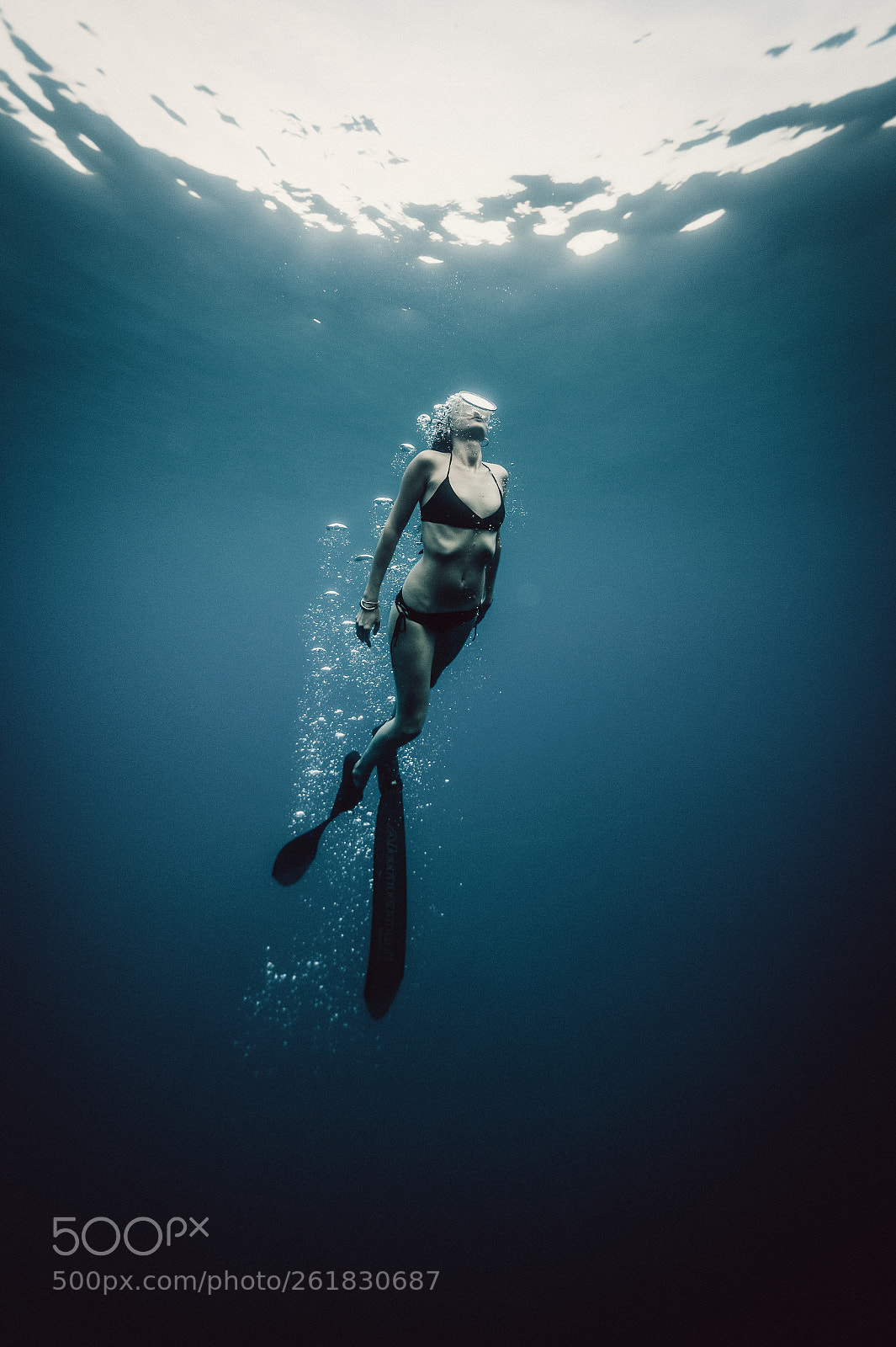 Nikon D3 sample photo. Freediving photography