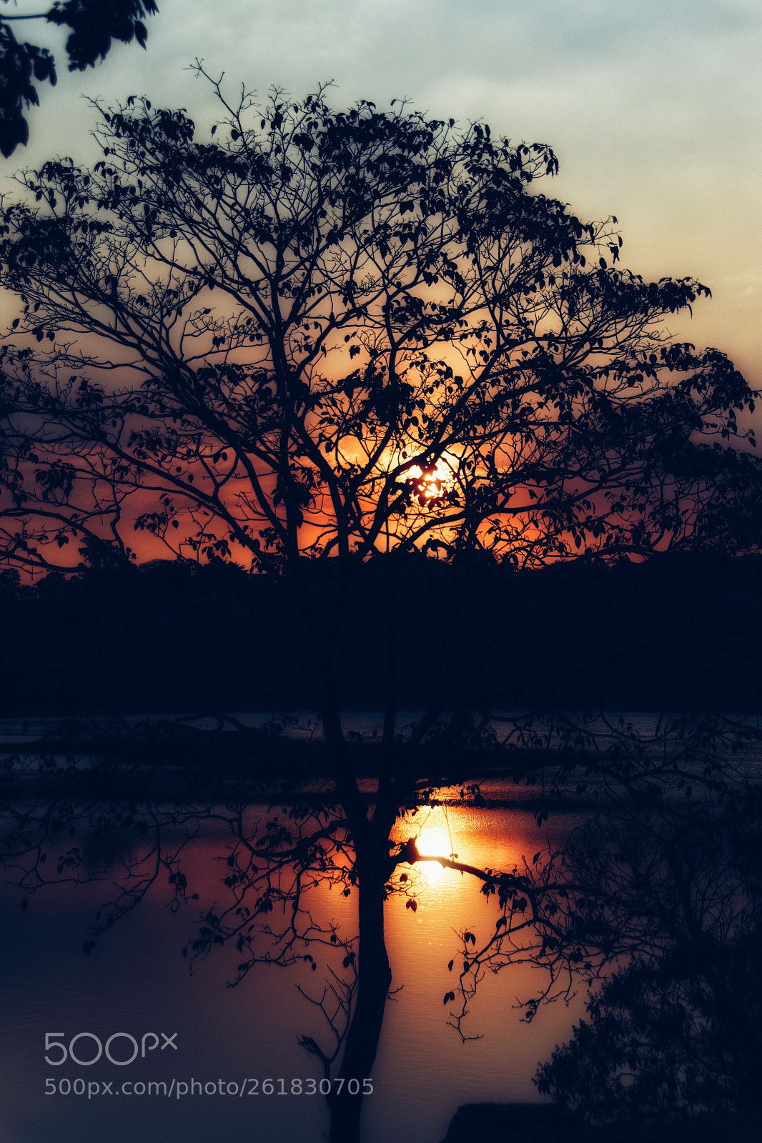 Nikon D5500 sample photo. Our sun photography