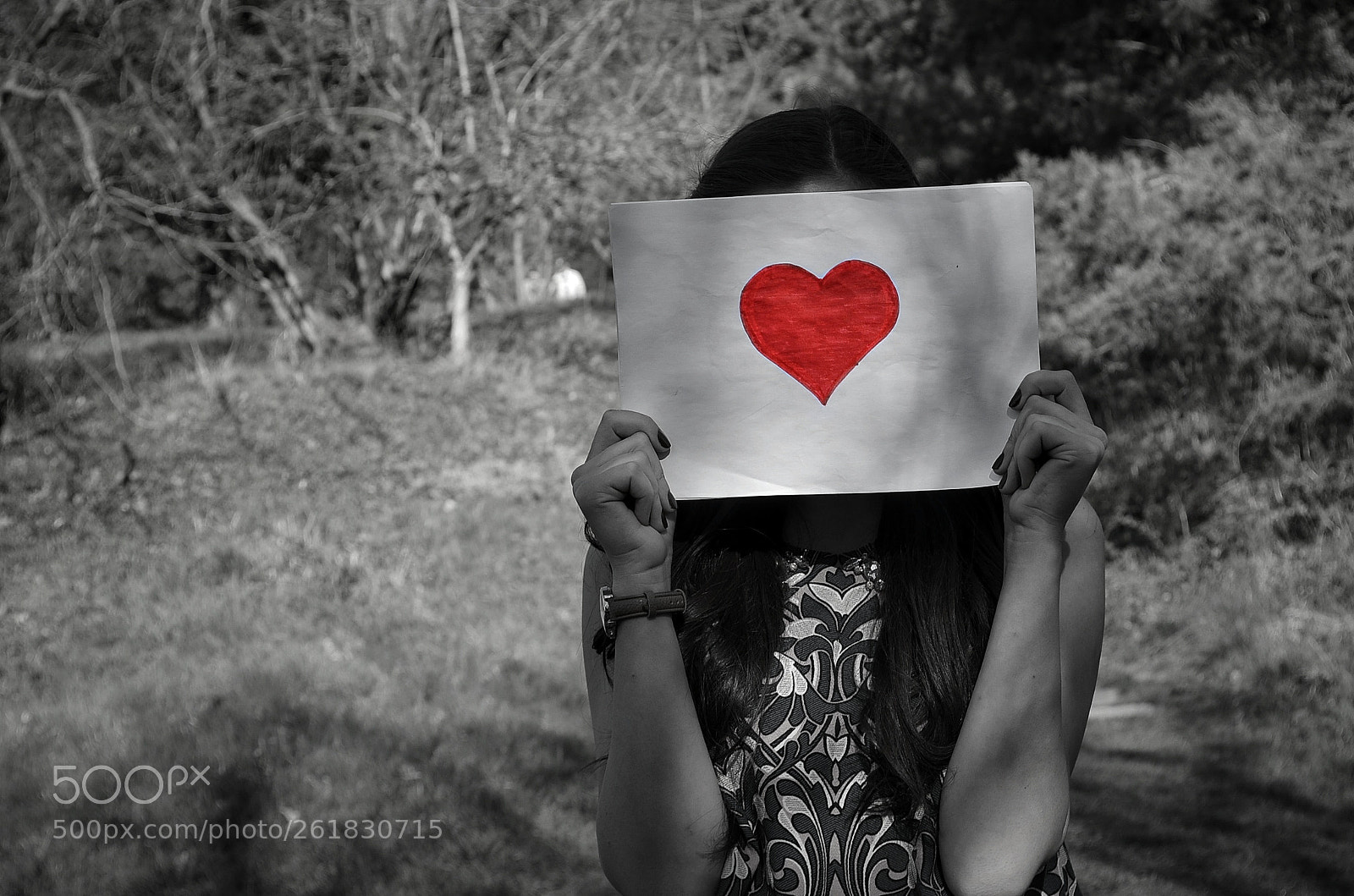 Nikon D5100 sample photo. Love photography