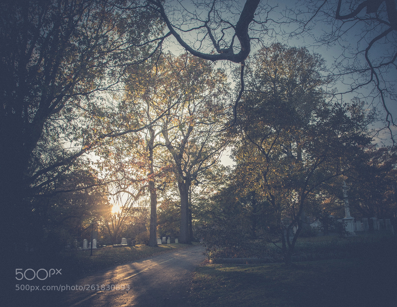 Canon EOS 6D sample photo. Dropbox ok canon eos photography