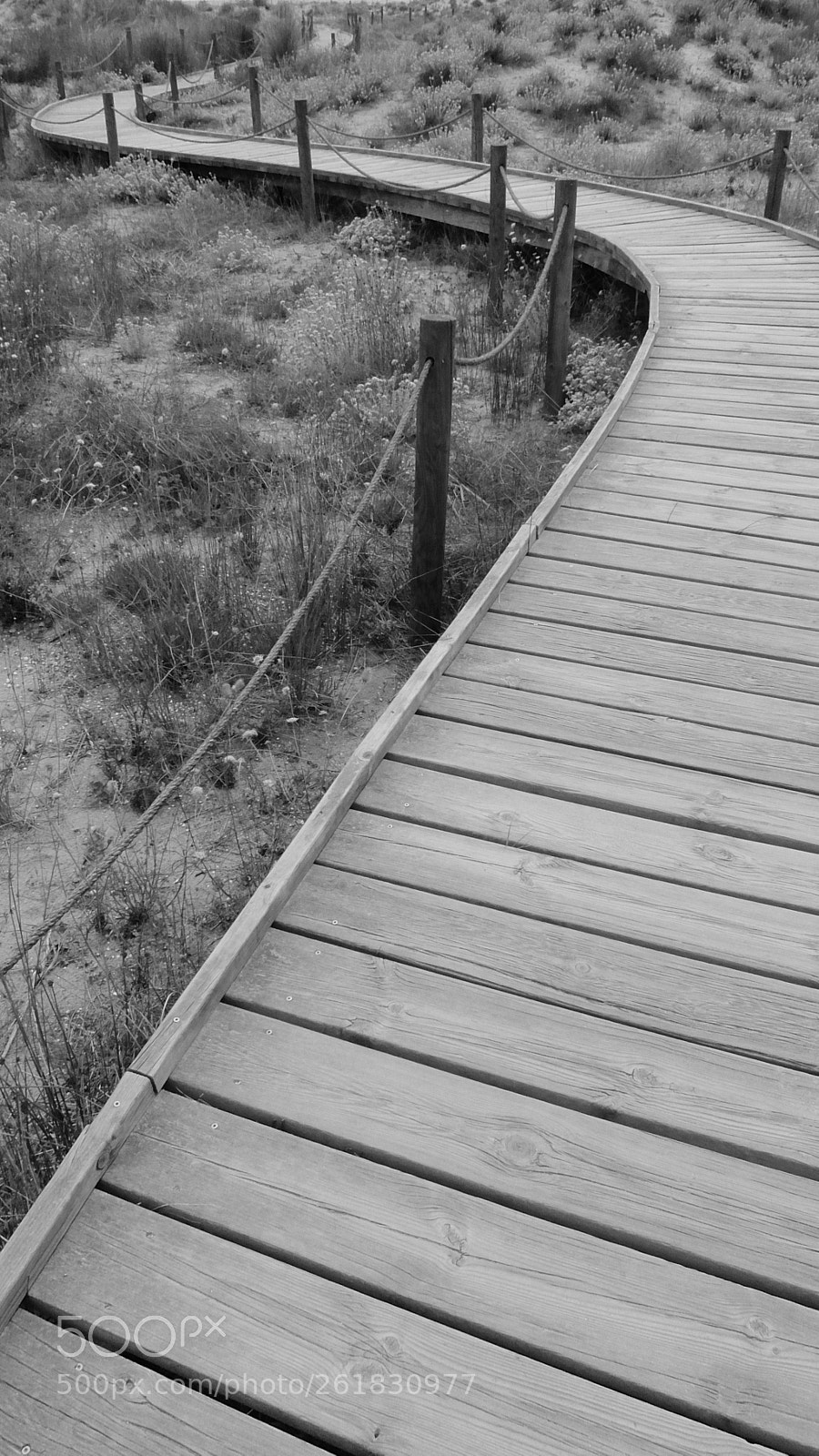 Fujifilm XQ2 sample photo. El muntany zona protegida photography