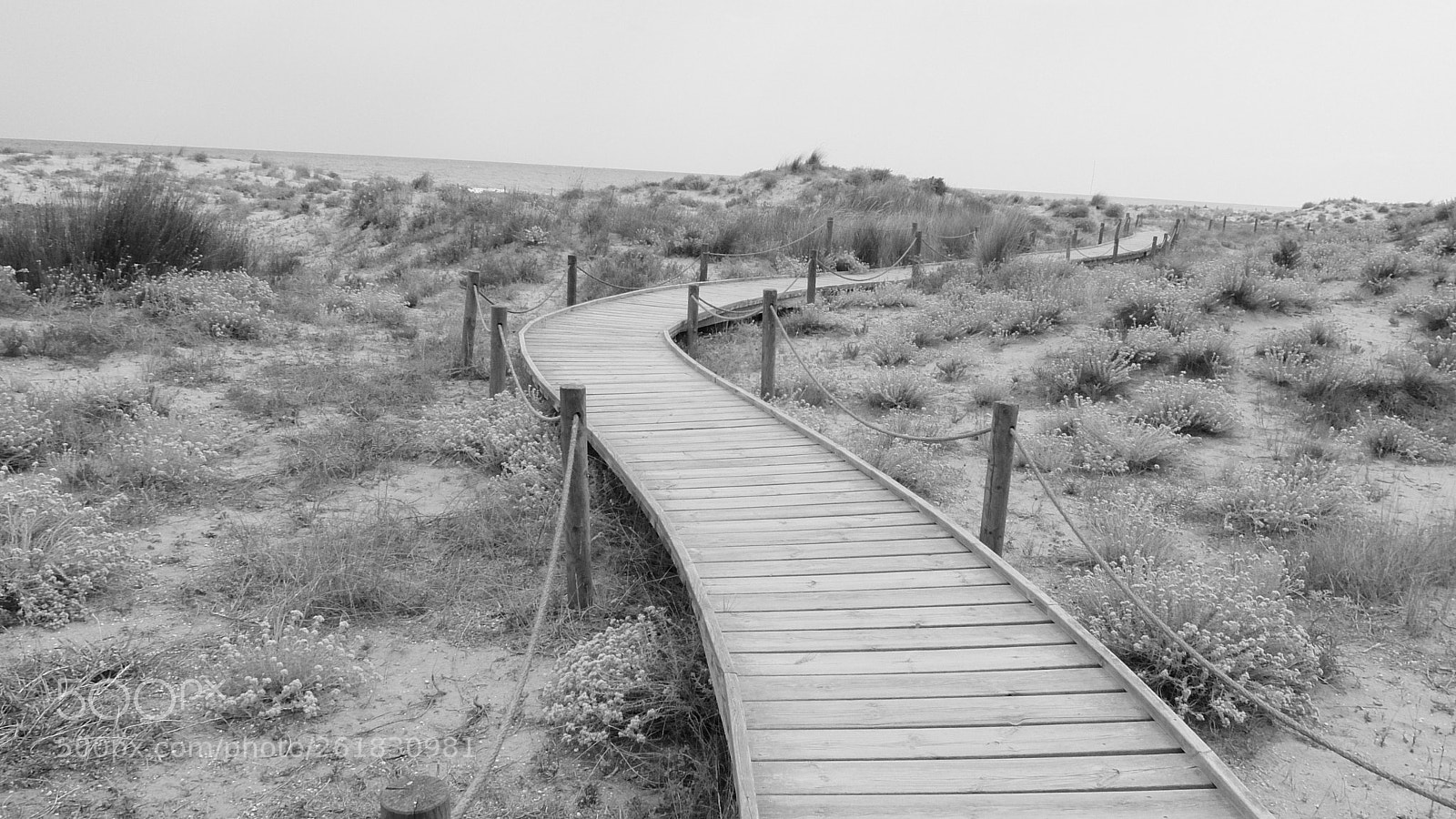 Fujifilm XQ2 sample photo. El muntany zona protegida photography