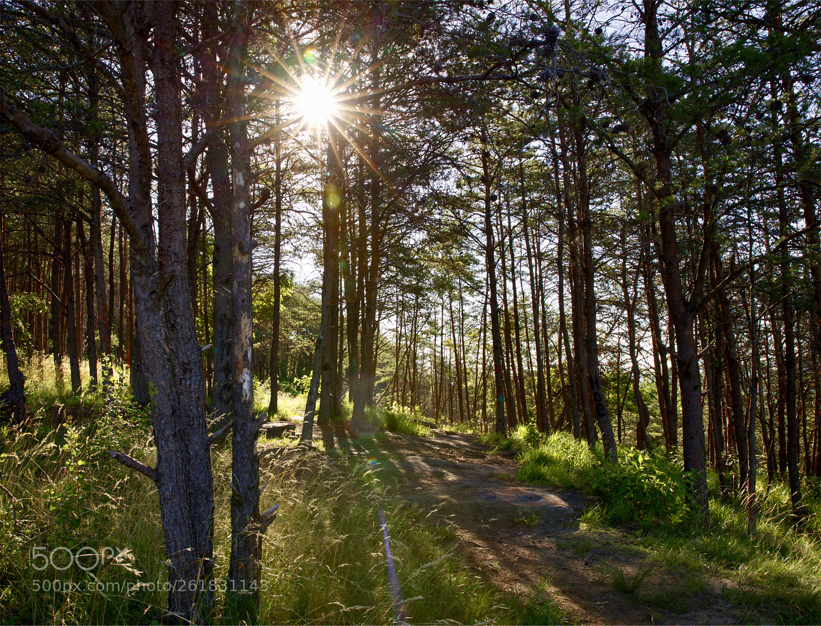 Canon EOS 5D Mark IV sample photo. Bald rock photography