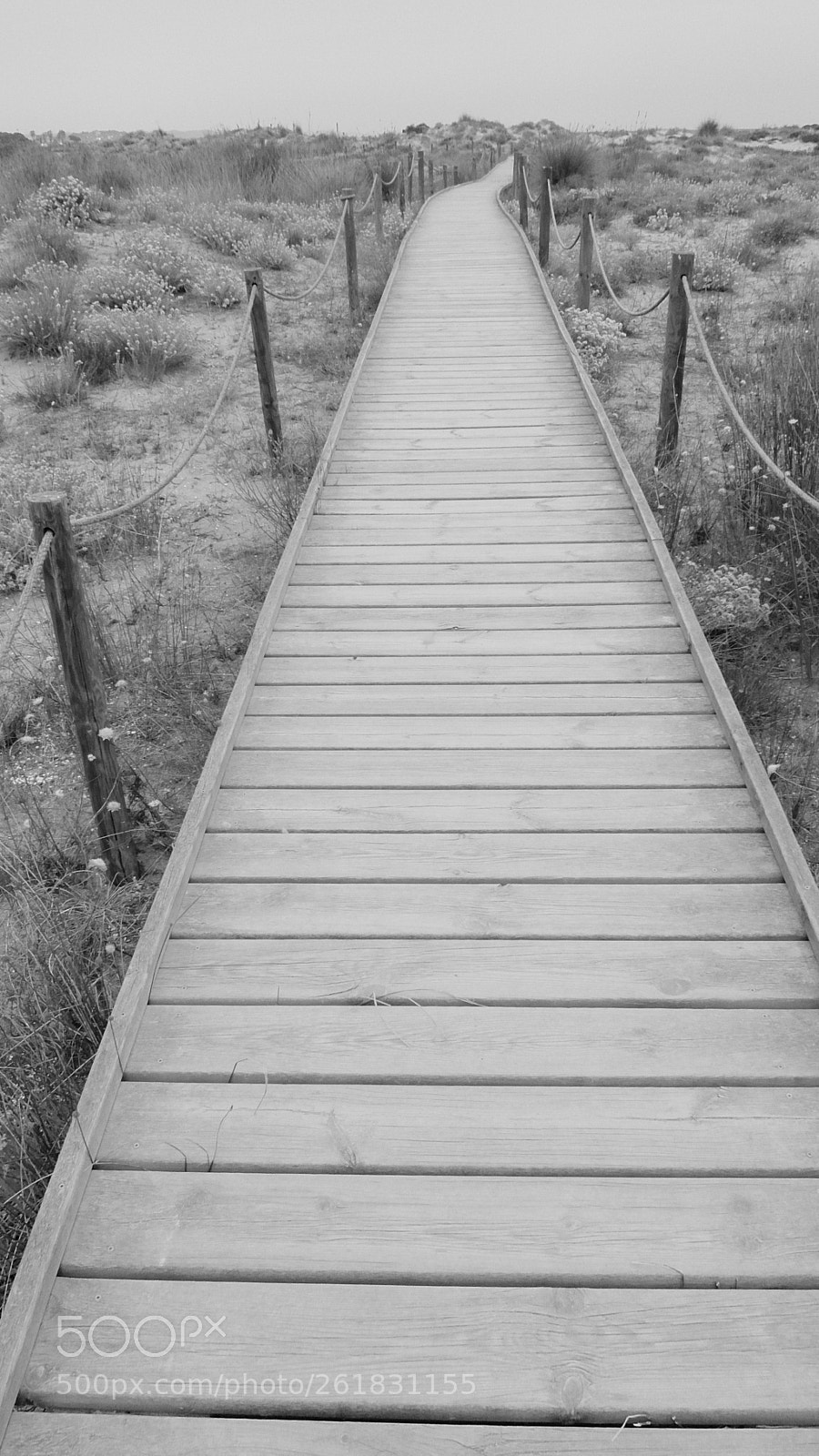 Fujifilm XQ2 sample photo. El muntany zona protegida photography