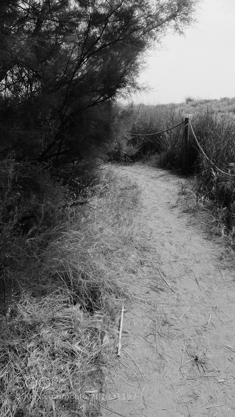 Fujifilm XQ2 sample photo. El muntany zona protegida photography