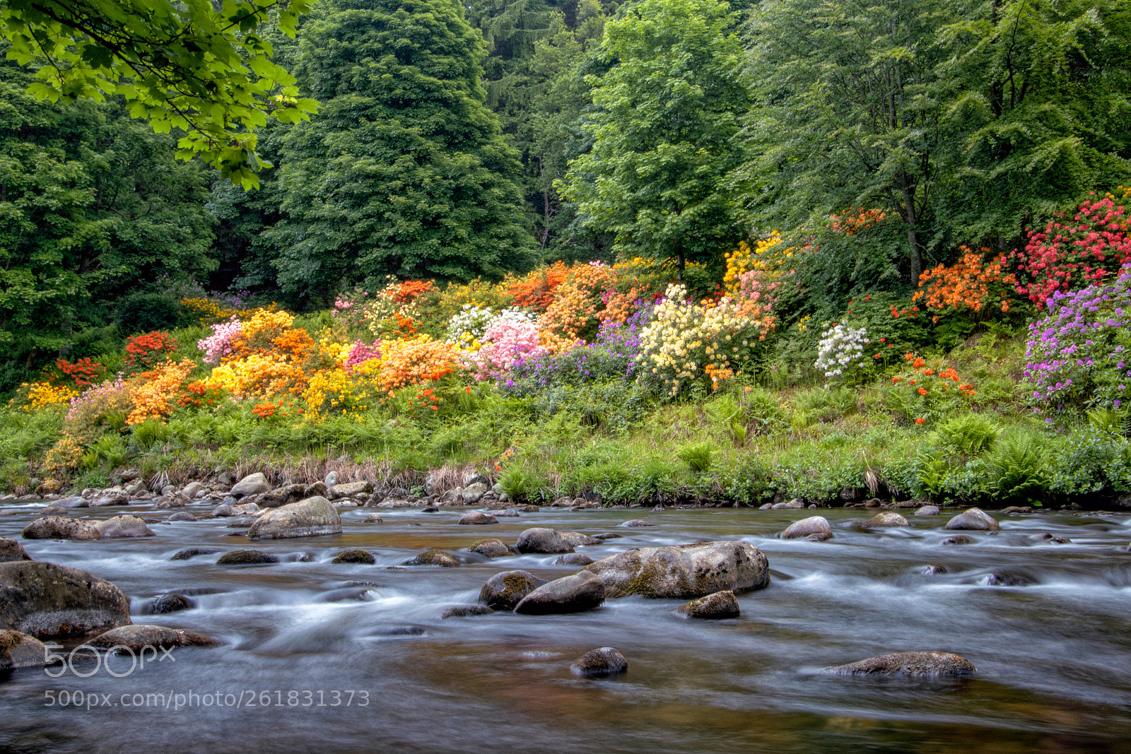 Canon EOS 77D (EOS 9000D / EOS 770D) sample photo. On the river bank photography