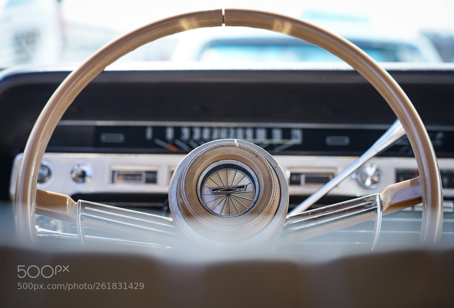 Sony a7 III sample photo. Country squire photography