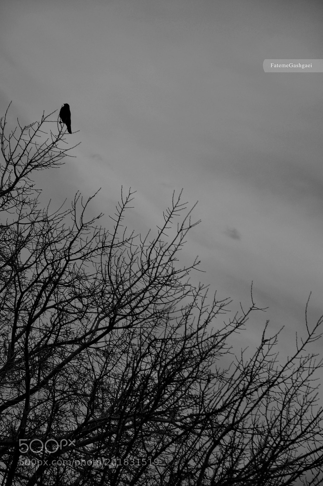 Nikon D90 sample photo. Img photography