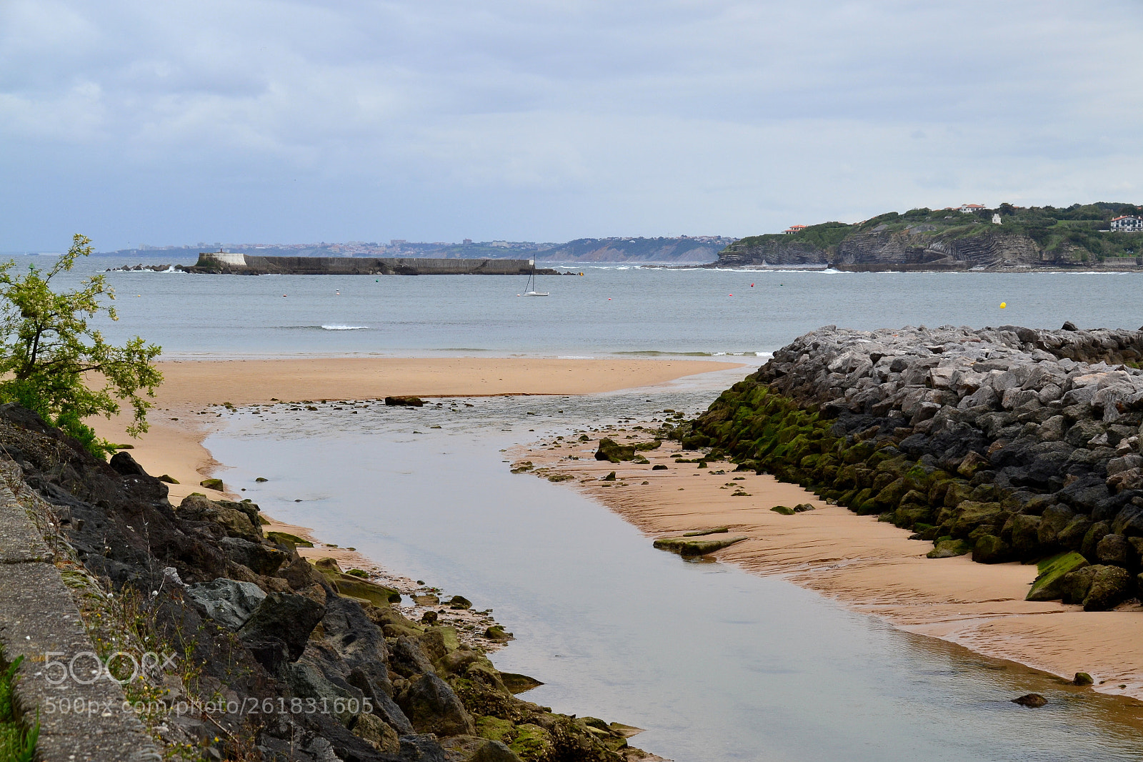 Nikon D3100 sample photo. La vie trouve toujours photography