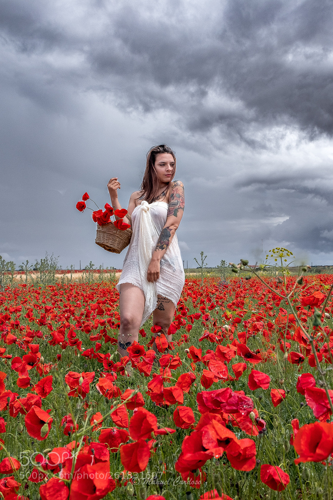 Fujifilm X-H1 sample photo. Poppies photography