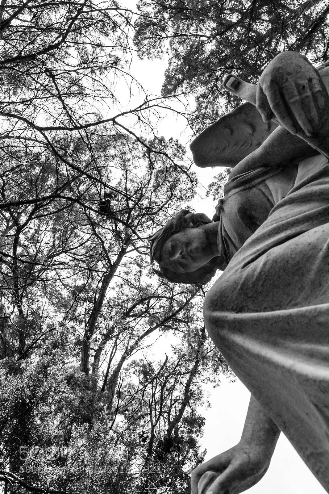 Nikon D5500 sample photo. Looking up...or down photography