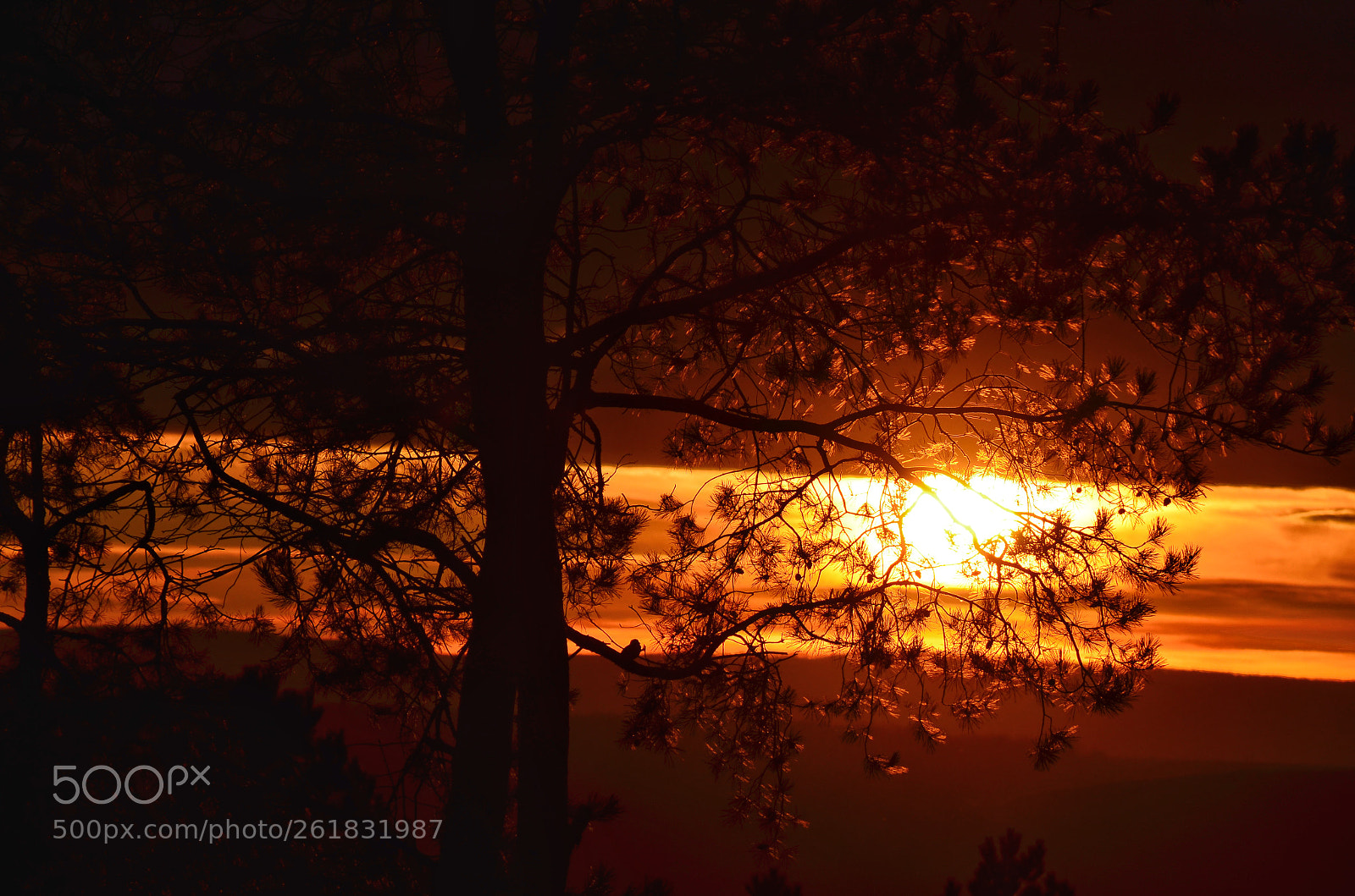 Nikon D5100 sample photo. Sunset photography