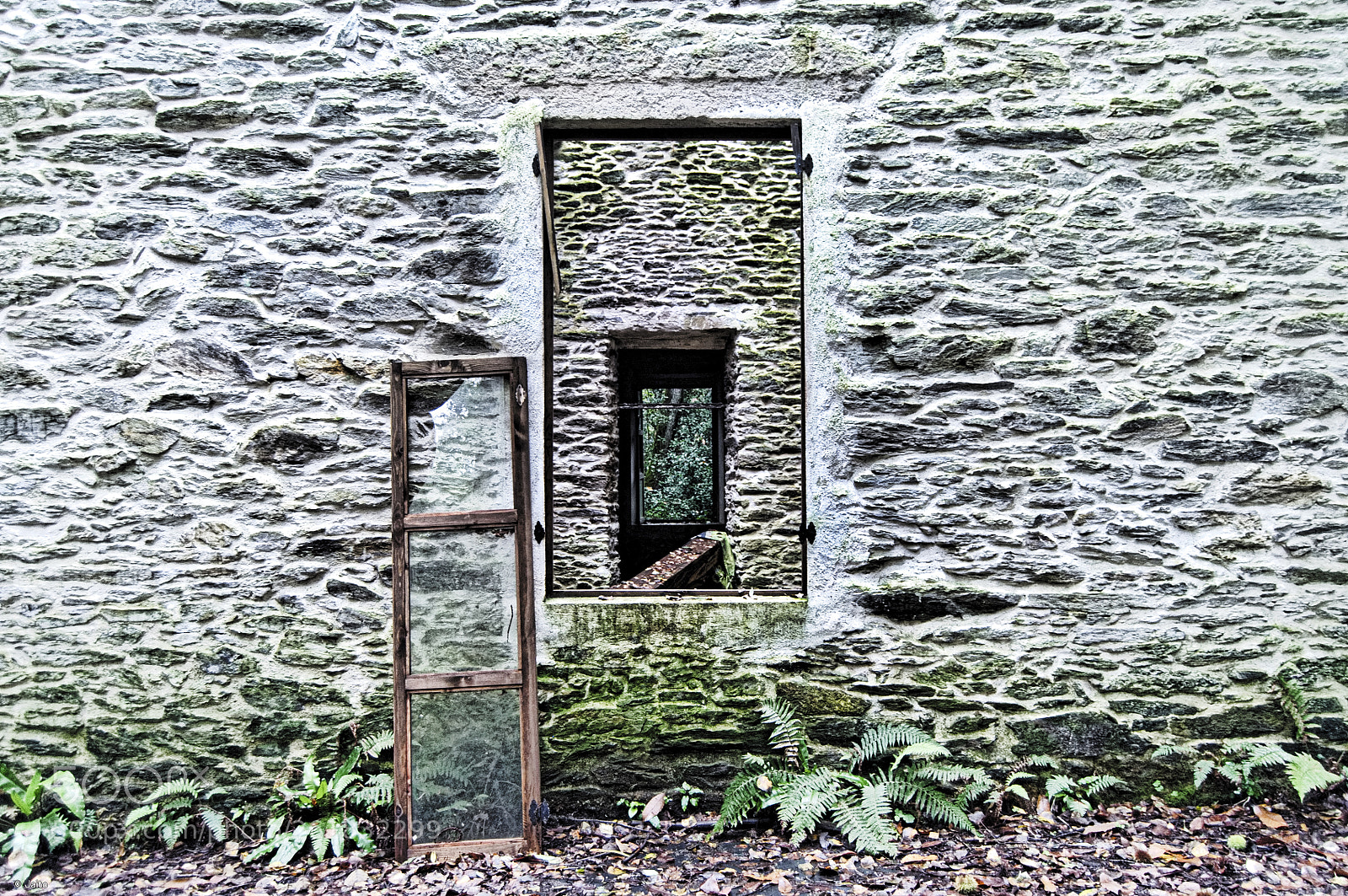 Nikon D5000 sample photo. Ventana interior photography
