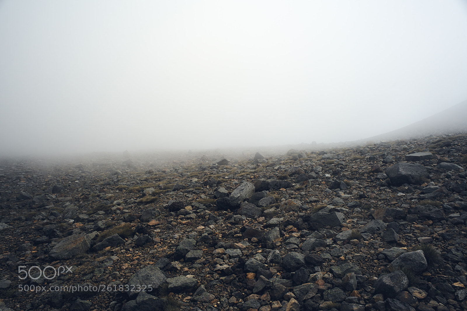 Sony a7R II sample photo. Nz / moon photography