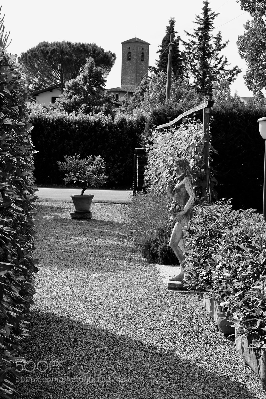 Canon EOS 100D (EOS Rebel SL1 / EOS Kiss X7) sample photo. Garden in black and photography
