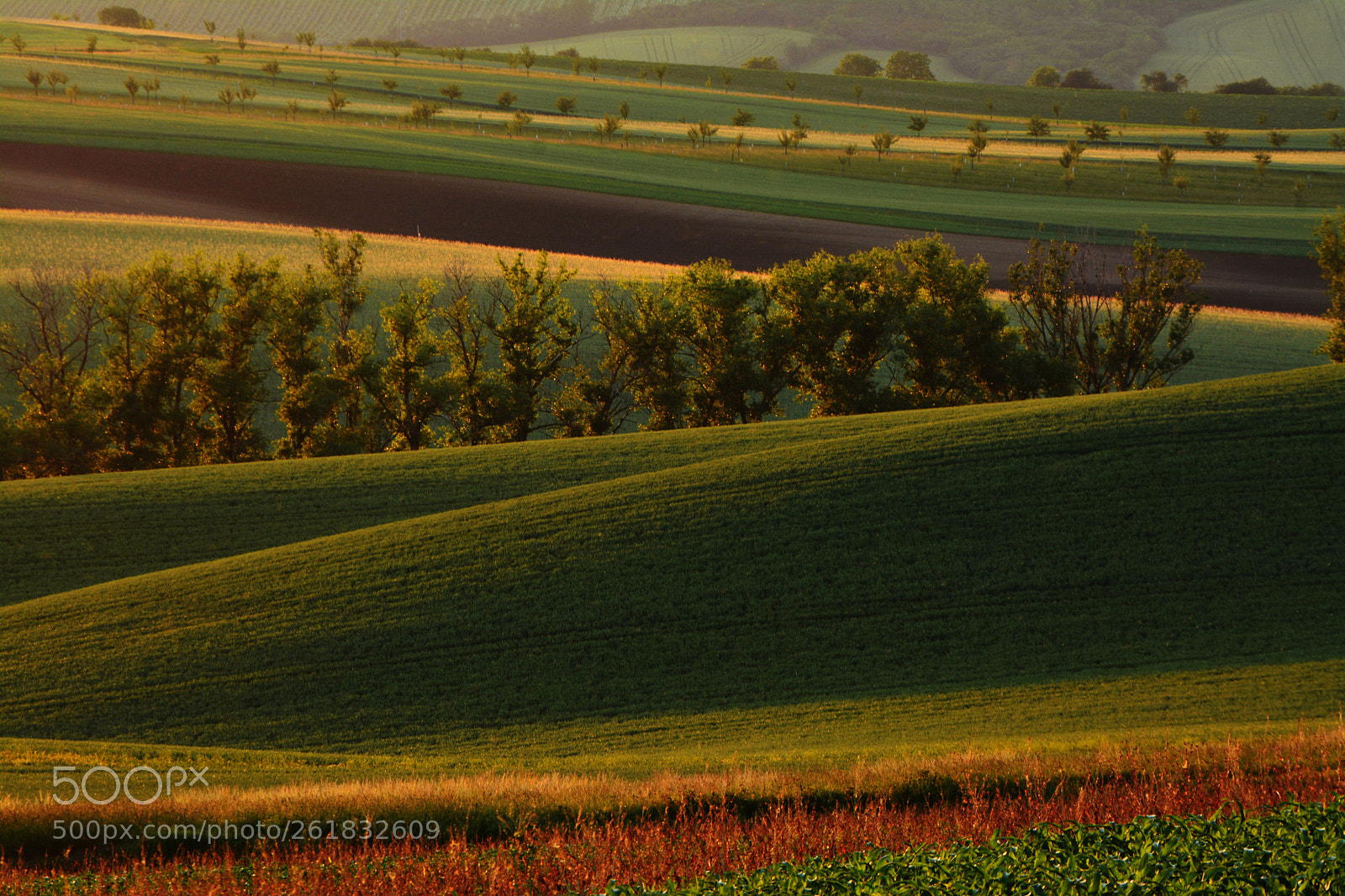 Nikon D7100 sample photo. In the capture of photography