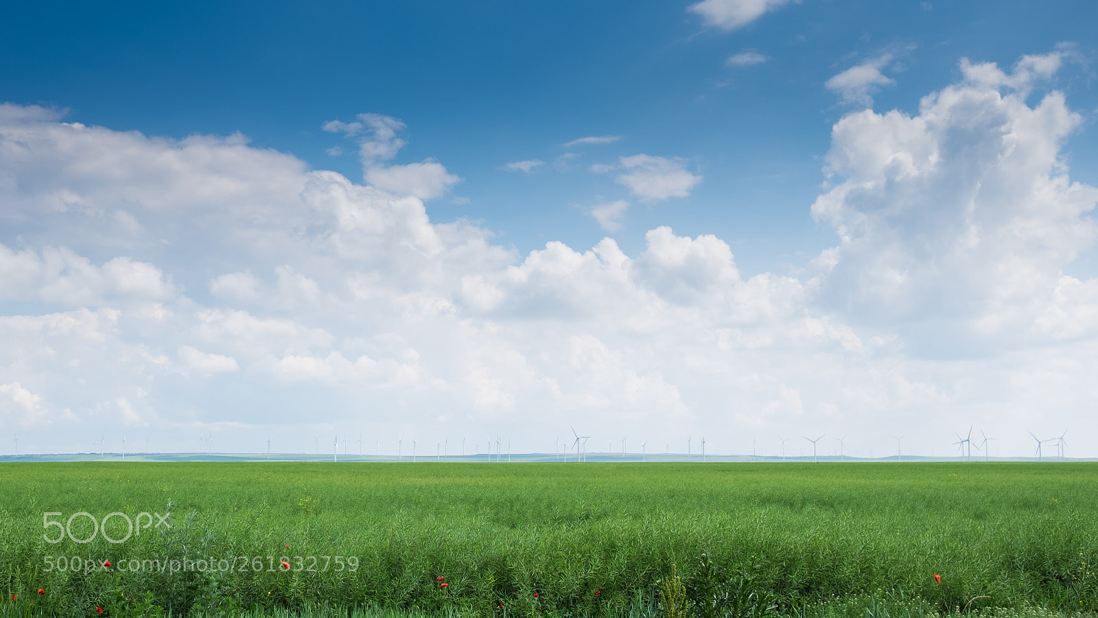 Fujifilm X-T1 sample photo. Day of summer photography