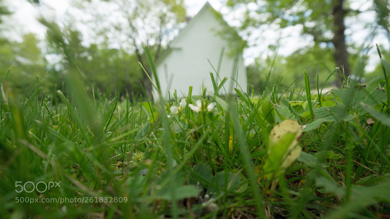 Sony a6000 sample photo. Strawberry church yard photography