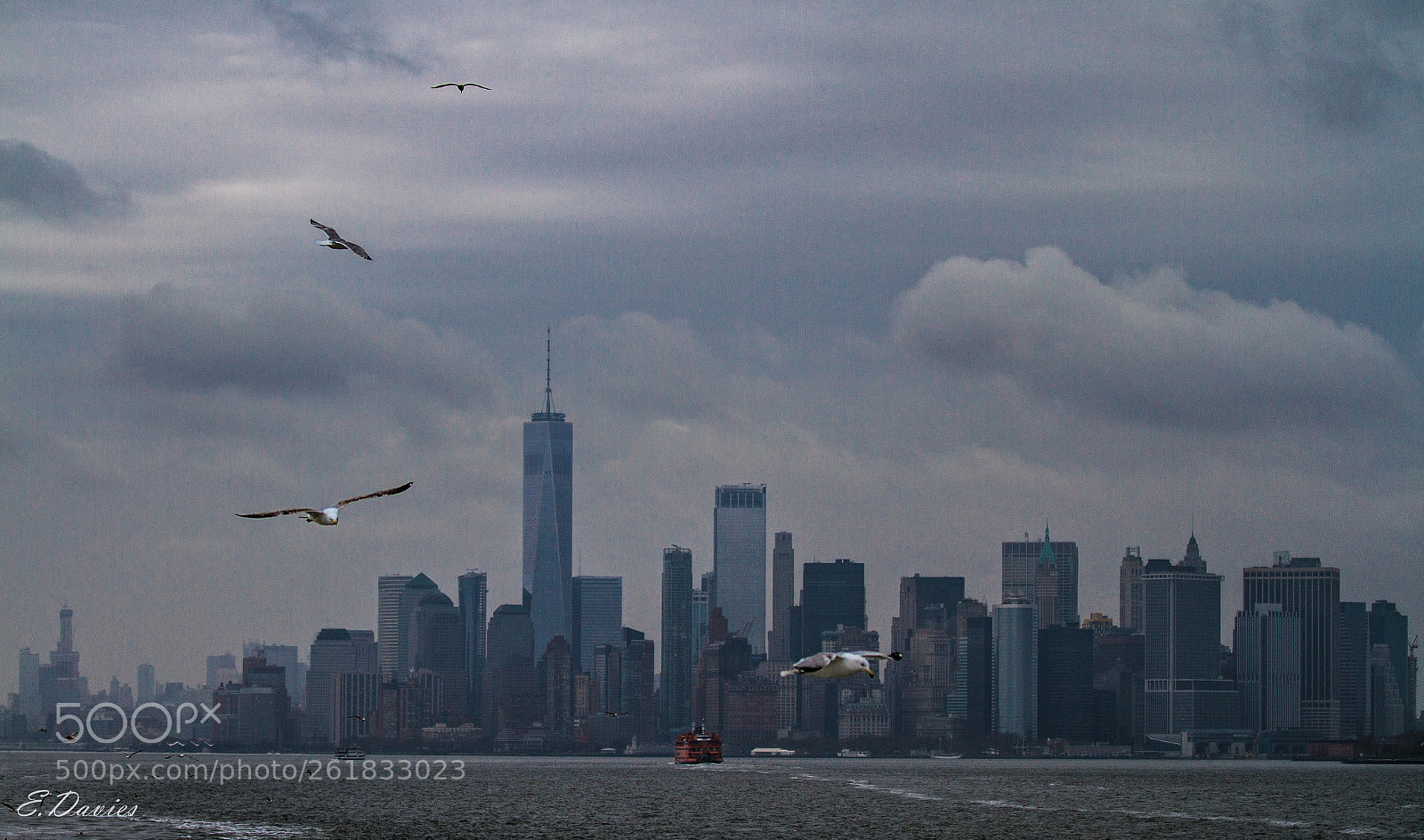 Canon EOS 7D sample photo. Freedom tower and syline photography