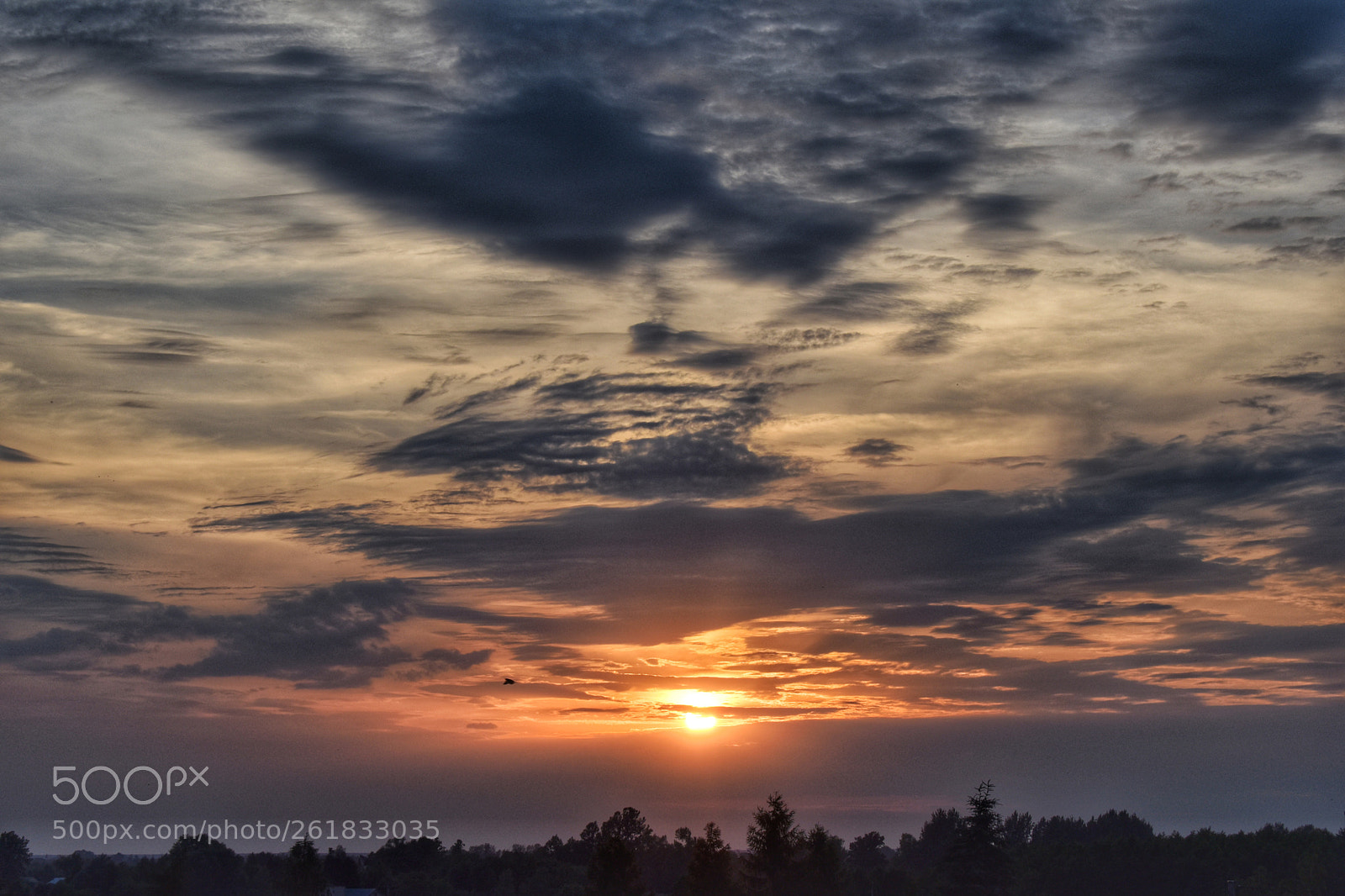 Nikon D5600 sample photo. Sunday sunset photography