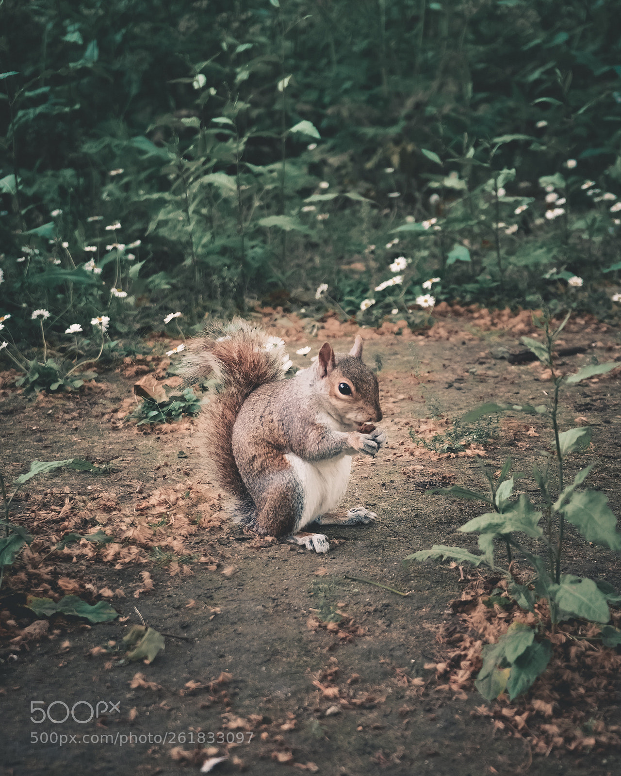 Sony a7 sample photo. Say hello to my photography