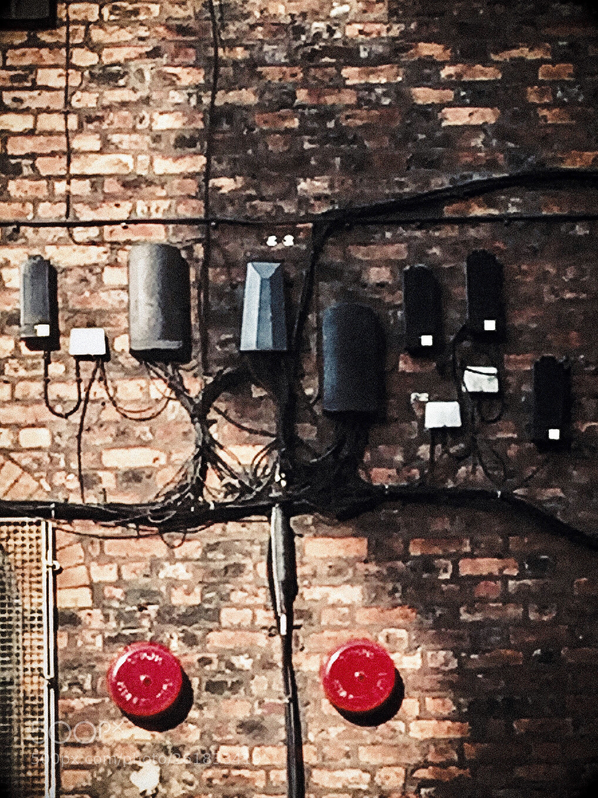 Apple iPhone 6 sample photo. Wired photography