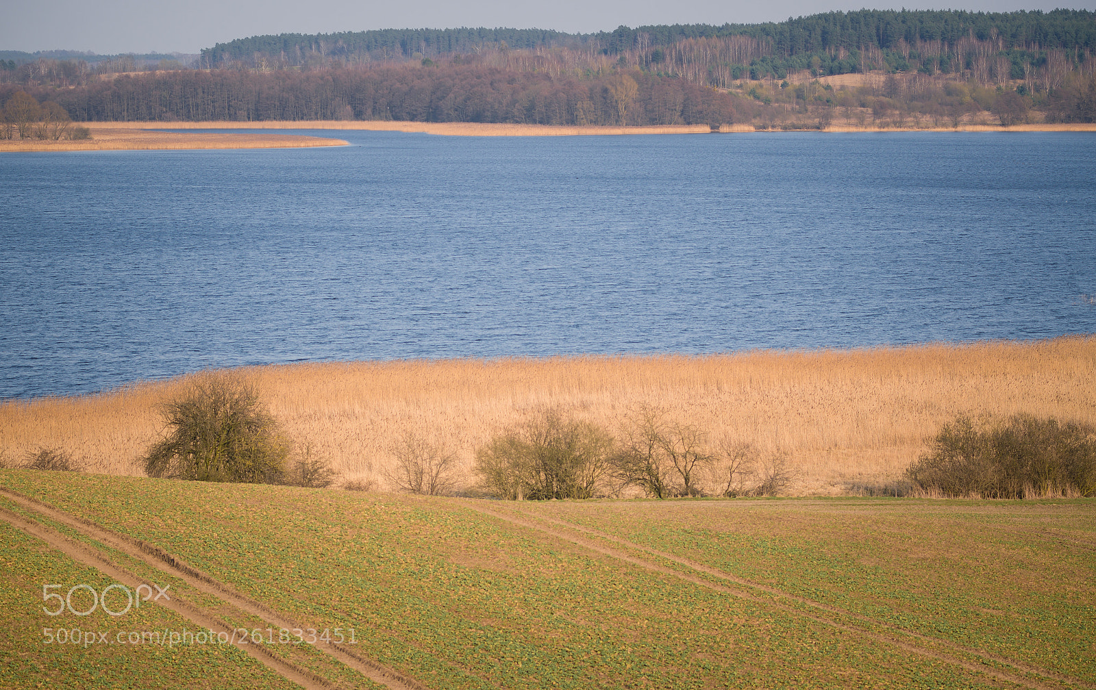 Nikon D7000 sample photo. Klebarskie lake photography
