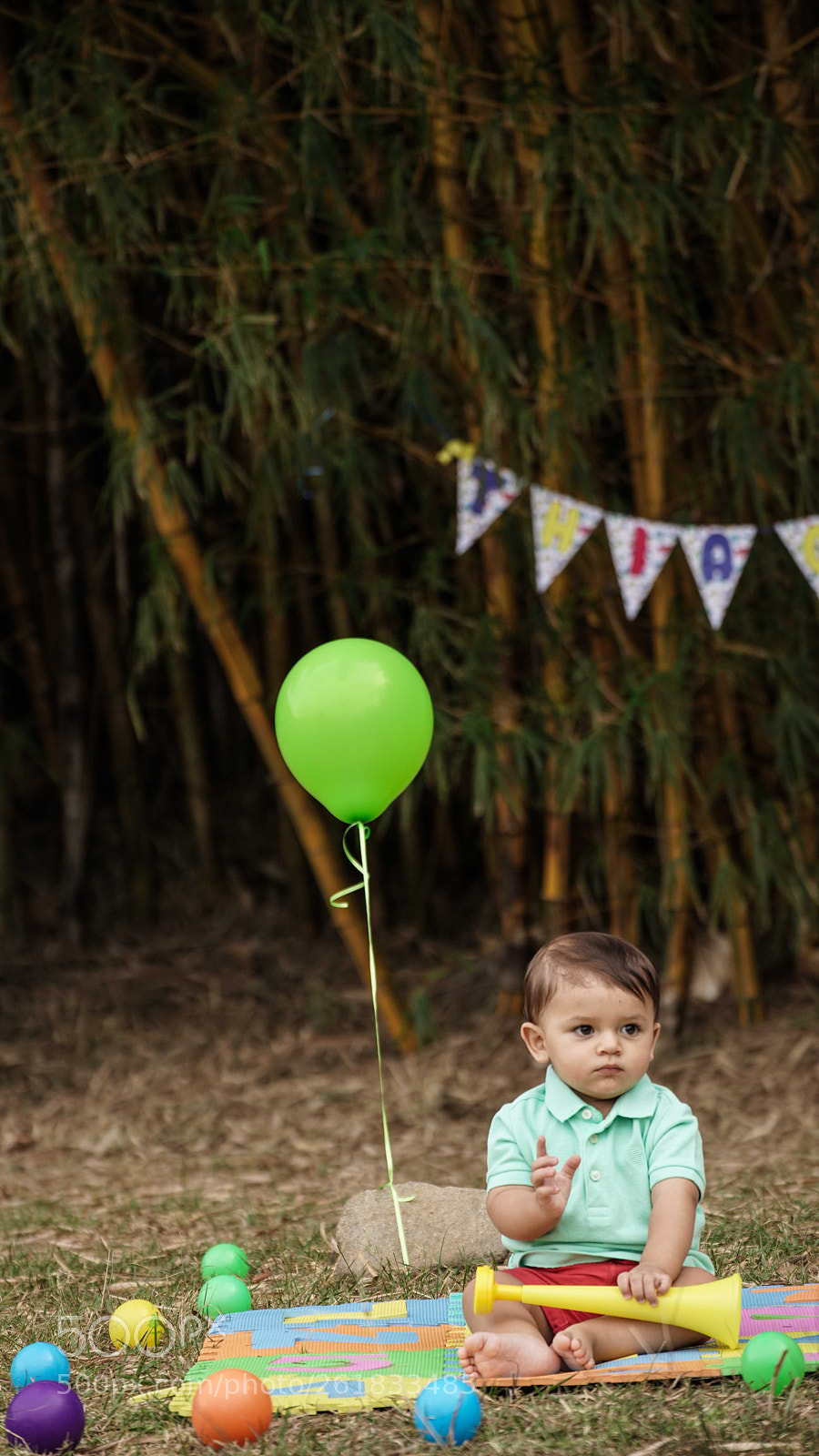 Sony a7R II sample photo. Dsc photography