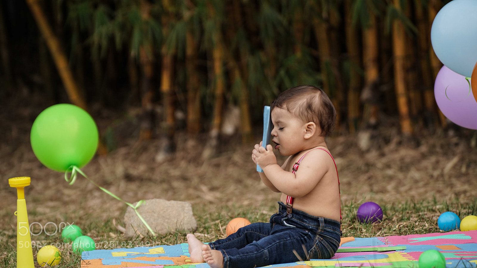 Sony a7R II sample photo. Dsc photography